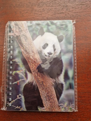 Giant panda notebook - giant,