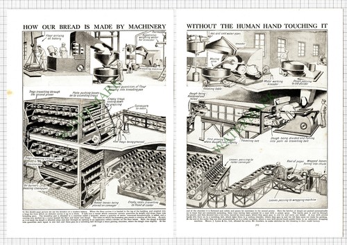 9106 messrs lyons - messrs, bread