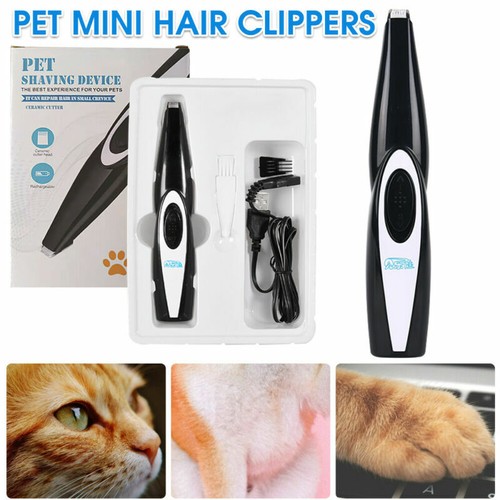 Dog cat pet - dog, kit