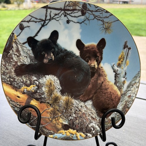 High adventure plate our - adventure,