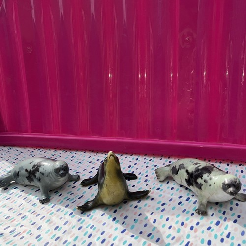 Sea lion harp seal aaa - &, early