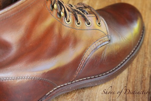 Redwing red wing - redwing,