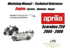 Aprilia Scarabeo 250 Engine