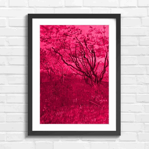 Blooming orchard trees spring - blooming,