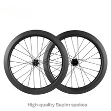 20inch 406 Carbon Birdy