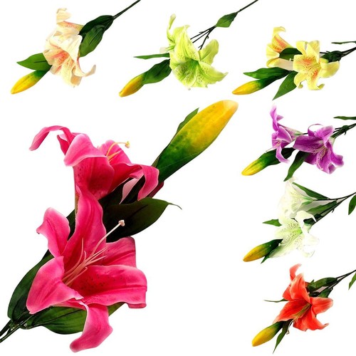 Stargazer lily spray - stargazer,