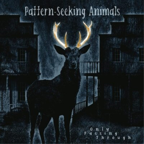 Pattern seeking animals - pattern-seeking, only