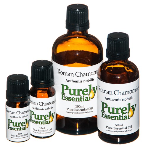 Roman chamomile essential - chamomile,