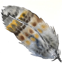 Original Watercolour Feather