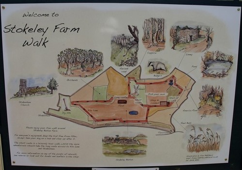 Photo 6x4 farm walk - photo,