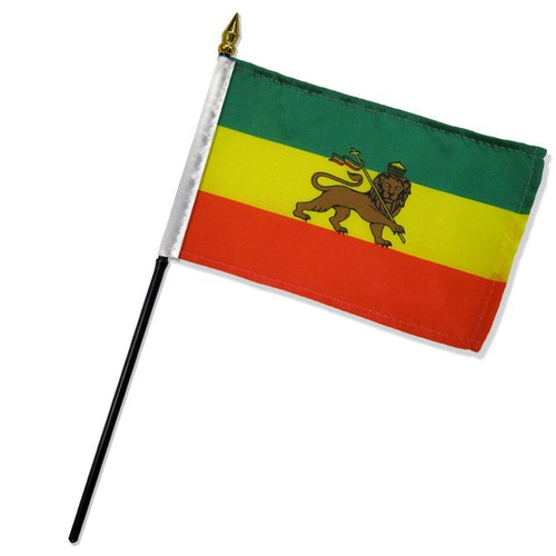 4x6 ethiopia lion - ethiopia,