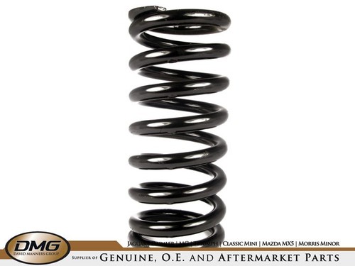 Front coil spring - front,