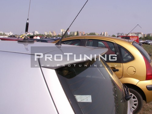 Rear roof door spoiler - rear,