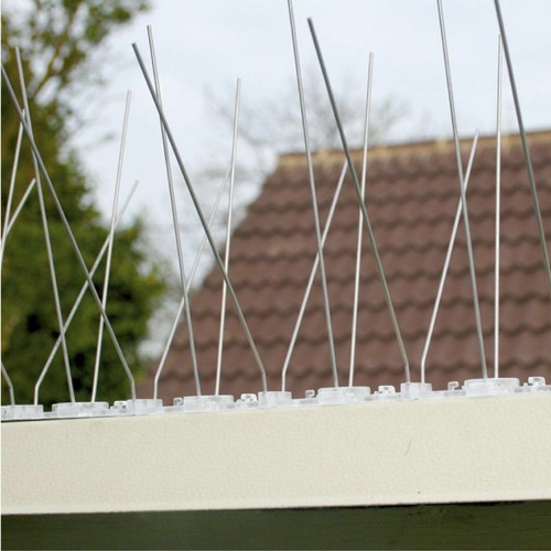 10psc bird spikes stainless - bird,