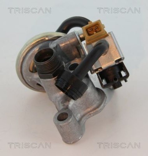 Egr valve triscan - valve, fits