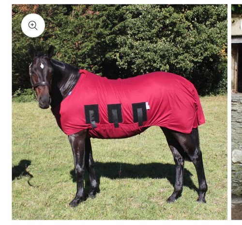 Snuggy hoods body rug - body,