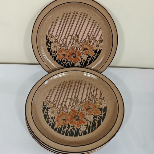 Denby sumatra salad plates set - plates,