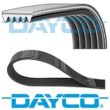GENUINE DAYCO 5 RIBS 1000MM
