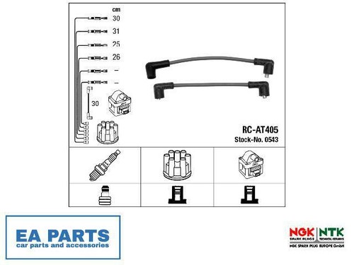 Ignition cable kit for austin - kit,