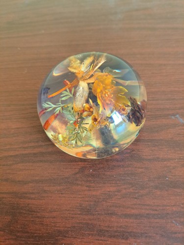 Lucite semi round paperweight - semi,