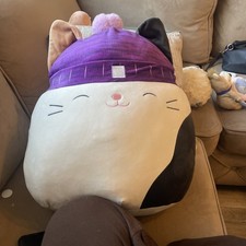 Calico Cat Squishmallow Cam