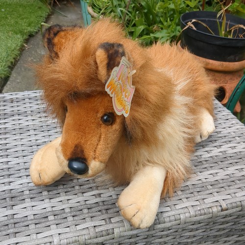 Pms tender moments collie - tender,