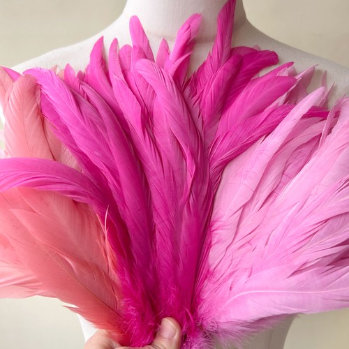 Colours coque feather 11 - coque,