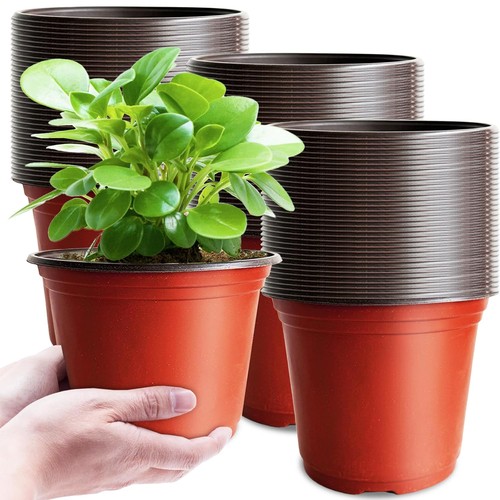 100 pcs inch thick - 100,