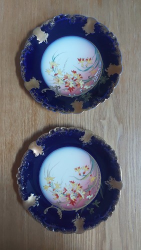Pair cabinet plates cobalt - pair,