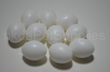 Dummy EGGS For parakeets, parrots conure cockatiel quaker x10 CAGE & AVIARY