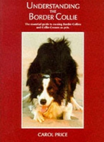 Understanding the border - the,