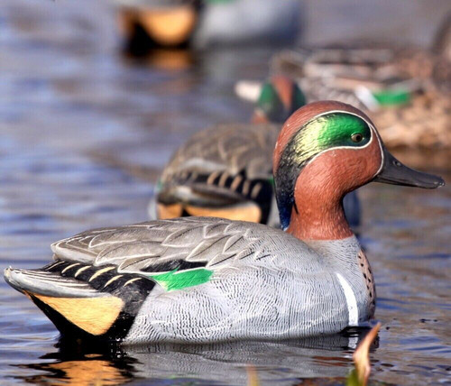 Duck decoys set - 6, pro