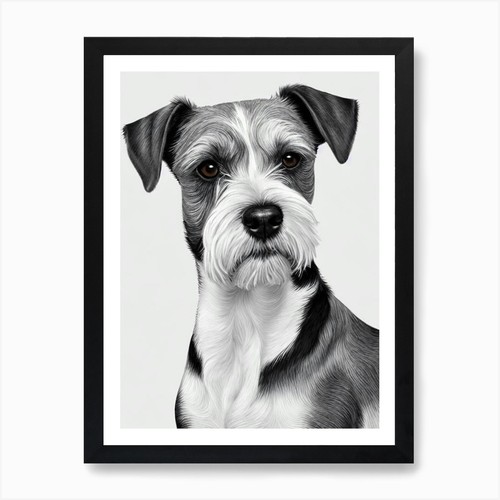 Cesky terrier pencil dog - cesky,