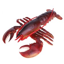 Simulation Soft Plastic