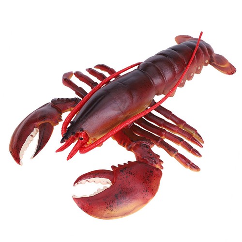 Simulation soft plastic - soft,