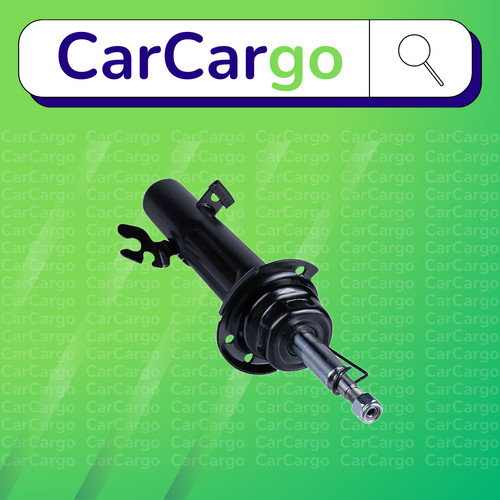 Front left shock - shock, absorber