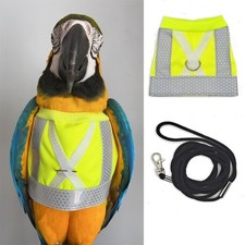 Parrot flying harness bird - flying,