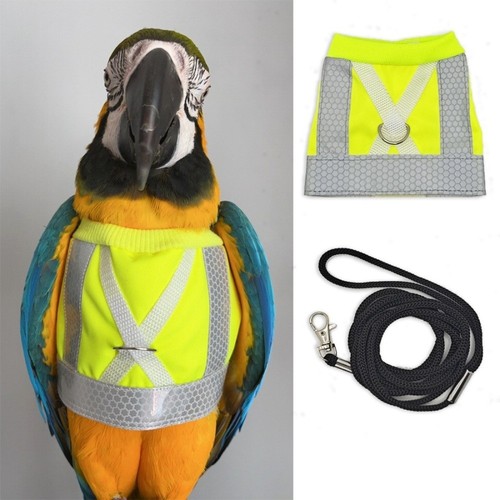 Parrot flying harness - parrot,