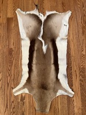 Springbok Skin - From South