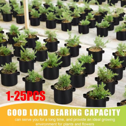 25pcs gallon fabric - plant, grow