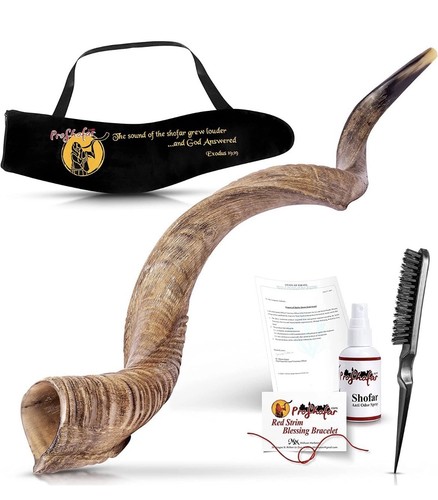 Israel shofar set - israel, set,