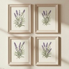 Set of 4 Watercolour Lavender