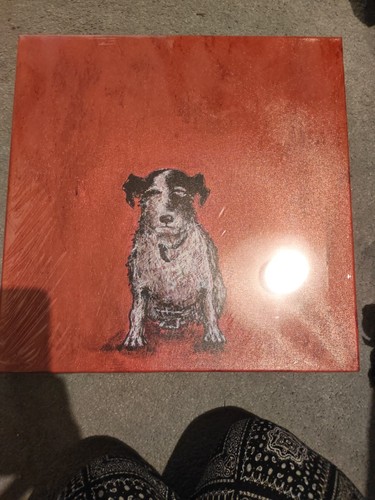 Sam toft small dog - sam,