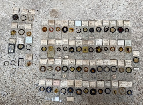 Antique microscope slides - microscope, of