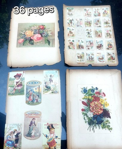 1800s - (36,