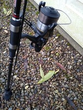 TFG Banshee 10ft 3lb test curve carp rod, with Shimano 10,000 RB ST Reel