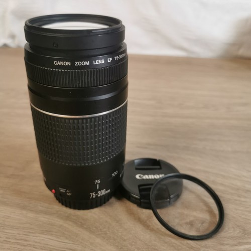 Canon 300mm iii lens - 75-300mm,
