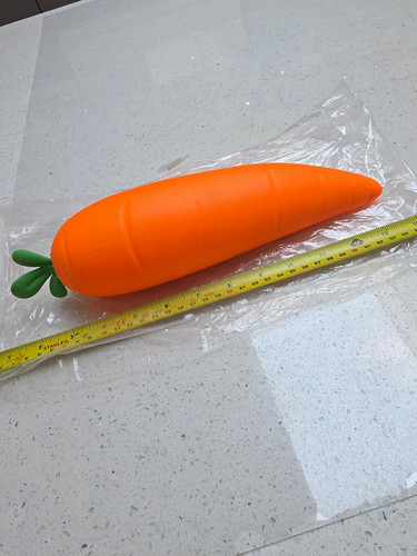 Viral jumbo carrot squishy - , new