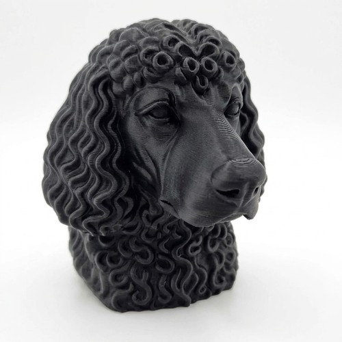 Irish water spaniel - bust,