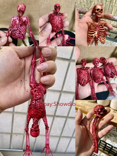 Scale human skeleton - scale,